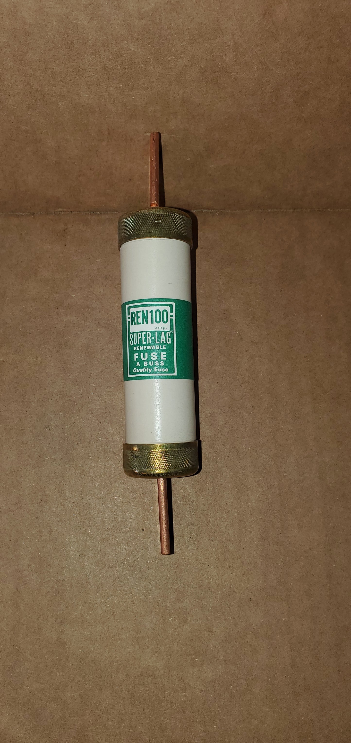 REN-100 100 AMP 250 VOLT FUSE NEW